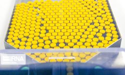 «اووآلبومین» از سوی یک شرکت دانش‌بنیان عضو پارک زیست فناوری قشم تولید شد