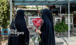 فرزندان شهدای قشم در کنار پدران آسمانی خود روز پدر را جشن می‌گیرند