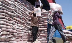 رییس کل دادگستری هرمزگان: ادعای ریختن برنج در دریا صحت ندارد