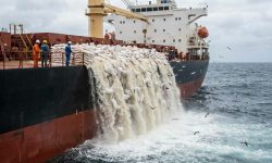 ادعای ریختن محموله‌های برنج در دریا نادرست است