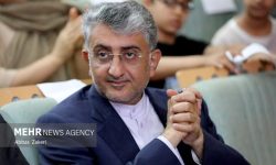 سبک زندگی و خلاقیت مردم بندرعباس باید به‌درستی معرفی و حفظ شود