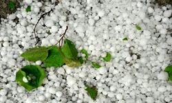 بارش شدید تگرگ در بیکاه رودان