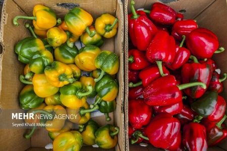 صادرات ۱۸۰ هزار تن محصول گلخانه‌ای هرمزگان به کشورهای مختلف