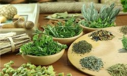 تولید گیاهان دارویی در استان هرمزگان به ۹ هزار تن رسید