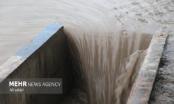 مردم از تردد غیرضروری هنگام بارندگی خودداری کنند