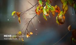 باران در پارسیان هرمزگان آغاز شد