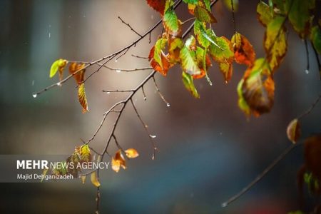 باران در پارسیان هرمزگان آغاز شد