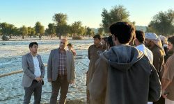 خسارت سنگین سیلاب به اراضی کشاورزی بندرجاسک