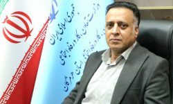 هرمزگان رتبه دوم کشور در پرداخت تسهیلات مشاغل خانگی را کسب کرد