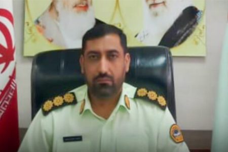 کشف ۴۱ رأس دام زنده قاچاق در محور بستک ـ لمزان