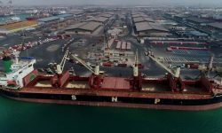 پهلوگیری بیستمین کشتی حامل ذرت در بندر شهید رجایی