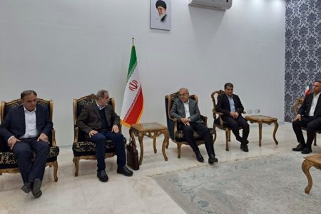 معاون وزیر کشور و رئیس سازمان امور اجتماعی وارد بندرعباس شد