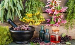 اجرای پایلوت کشت گیاه دارویی مرزنجوش در بندرعباس