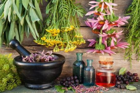 اجرای پایلوت کشت گیاه دارویی مرزنجوش در بندرعباس