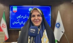 فعالان اقتصادی فرماندهان خط مقدم جنگ اقتصادی‌اند