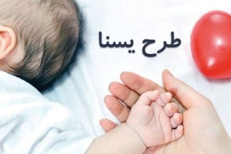 واریز یارانه حمایتی در مرحله دوم طرح ملی «یسنا»