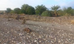 هشدار قرمز و باران های سیل آسا و رودخانه های لایروبی نشده بخش توکهور