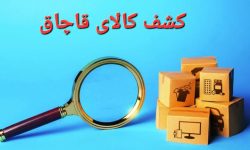 توقیف خودروهای حامل کالای قاچاق در ایست و بازرسی هرمزگان