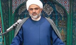 شهید سلیمانی مصداق شیعه‌ی علوی و الگوی انقلابی‌ است