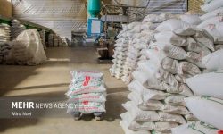 ۹۶۰ تن برنج احتکار شده در هرمزگان کشف شد