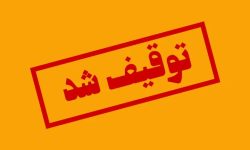 توقیف سواری شوتی متخلف در محور بندرعباس