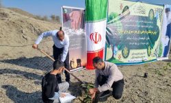 پویش «درختی برای پدر؛ سبزی برای ایران» در هرمزگان آغاز شد