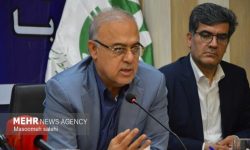 تحقق توسعه پایدار محیط‌زیست نیازمند نهضت فرهنگی و مشارکت سمن‌هاست