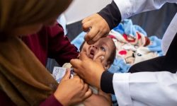 آغاز مرحله اول واکسیناسیون تکمیلی فلج اطفال ۱۴۰۴ در کیش