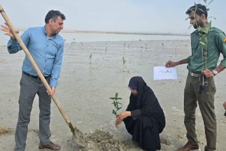 کاشت ۱۵۰ اصله نهال در جاسک