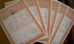 بیش از هزار سند «رفسنجان» در قشم تعیین تکلیف شد