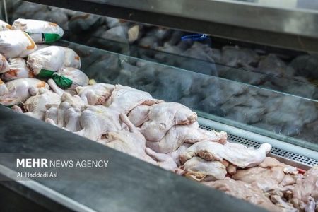 ظرفیت تولید گوشت مرغ در هرمزگان به ۵۴ هزار تن رسید