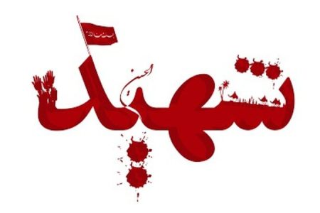 ابلاغ سلام فرماندهی نیروی دریایی سپاه به خانواده شهدای تنگه هرمز