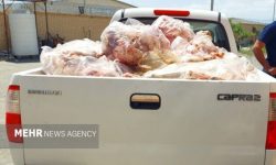 کشف و معدوم سازی بیش از ۳۵۰ کیلوگرم انواع مواد غذایی فاسد