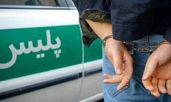 دستگیری سارق حرفهای طلا و جواهرات ۱۰۰ میلیاردی در کیش