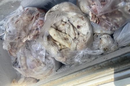 شفاف‌سازی دادستان بندرعباس درباره موضوع سرقت ۷۰ تن گوشت معدوم‌شده