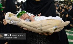 مراسم «شیرخوارگان حسینی» در بندرعباس