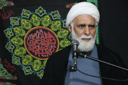 فرهنگ عاشورا و انتظار مهدوی دو بال عزت تشیع هستند