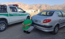 کشف ۱۲ هزار لیتر گازوئیل قاچاق و دستگیری سارق خودرو در حاجی آباد