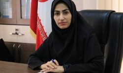 خروج کالای ته لنجی از استان هرمزگان نیازی به مجوز ندارد