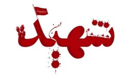 اعضای خانواده یک محیط بان هرمزگان در حمله آمریکا به شهادت رسیدند