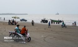 نبض زندگی در بندرعباس