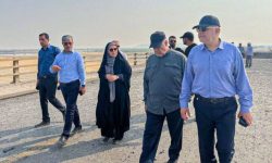 بازدید وزیر راه و شهرسازی از پلهای گچین و روند بازسازی محور بندرعباس