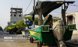 رد پای دریا در کوچه‌های بندرعباس