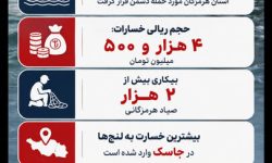 اینفوگرافیک؛ خسارت حملات دشمن آمریکایی به جامعه صیادی هرمزگان