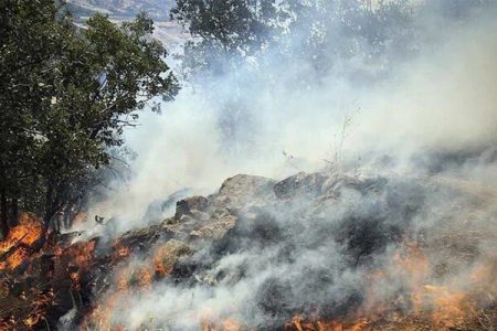 آتش‌سوزی در مراتع روستای دهنو بندرعباس تحت کنترل است