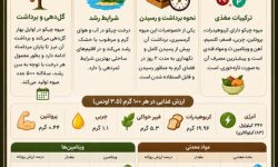 اینفوگرافیک؛ چیکو میوه‌ای شیرین از دل طبیعت گرمسیری میناب
