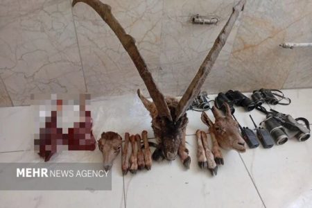 دستگیری ۶ شکارچی متخلف و کشف یک رأس کل وحشی در بستک
