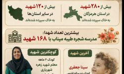 اینفوگرافیک؛ تعداد شهدای استان هرمزگان بر اثر حملات آمریکای جنایتکار
