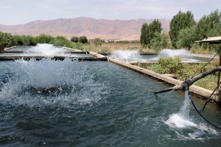 افتتاح ۱۴ هزار میلیارد تومان پروژه شیلاتی در هفته دولت