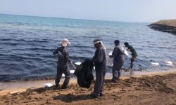 آلودگی نفتی سواحل جزیره قشم تحت کنترل است